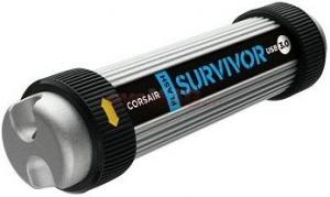 Corsair survivor