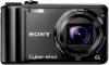 Sony - Camera Foto DSC-H55 (Neagra) + CADOU