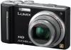 Panasonic - promotie camera foto dmc-tz10 (neagra) +