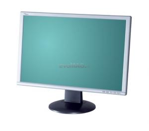 Fujitsu Siemens - Monitor LCD 20" L20W-1