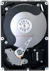 Dell - HDD Server, 2TB, SATA