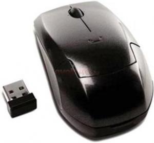 Lenovo - Promotie Mouse Laser Wireless 45K1696 (Negru)