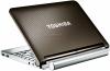Toshiba - promotie laptop mini nb200-10z + cadou