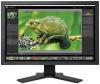 Eizo - monitor lcd eizo 21" cg241w