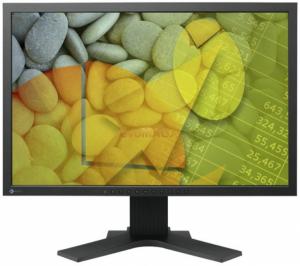 EIZO - Monitor LCD 22" S2202WH (Negru)