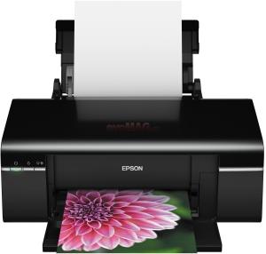 Epson - Imprimanta Stylus Photo P50