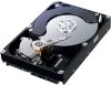 SAMSUNG - HDD Enterprise SpinPoint F1 RAID, 500GB, SATA II 300