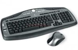 Logitech - Tastatura si mouse MX 3000-4900