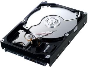 Samsung - Promotie HDD Desktop SpinPoint F1 DT&#44; 160GB&#44; SATA II 300