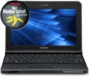 Toshiba - Laptop NB250-101 (Atom N455, 10.1", 1GB, 160GB, Win 7 Starter)