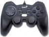 Genius - Gamepad Grandias 12