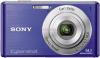 Sony - camera foto digitala w530
