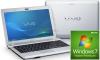 Sony vaio - laptop vpcyb3v1e (amd dual-core e-450, 11.6", 4gb, 500gb,