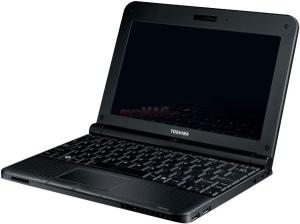 Toshiba - Promotie Laptop NB500-108 (Atom N455, 10.1", 1GB, 250GB, Wind 7) + CADOU