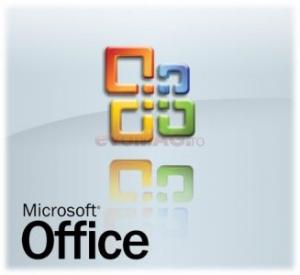 Microsoft - Lichidare Office Professional 2007 Engleza (v2) + Upgrade Gratuit Office Pro 2010