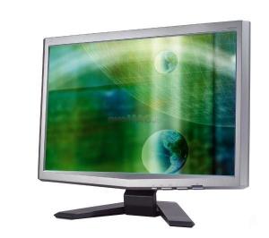 Acer - Monitor LCD 20&quot; X203W-13175