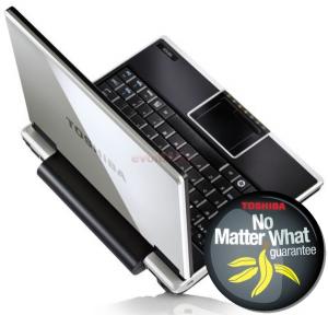 Toshiba - Laptop NetBook NB100-12H -Brighter Silver (Argintiu cu negru) - 3G
