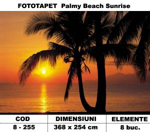 Fototapet Palmy Beach Sunrise cod 8-887