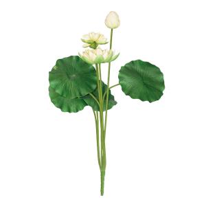 Buchet lotus
