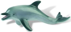 Delfin