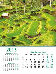 Calendar de perete Green 2013