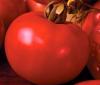 Seminte tomate marissa f1