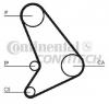 Set curea de distributie FORD TRANSIT bus  T   PRODUCATOR CONTITECH CT1054K2