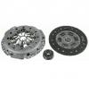 Set ambreiaj vw passat  3b3  producator sachs 3000