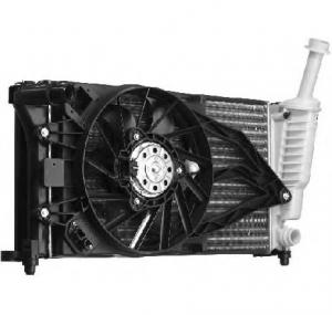 Ventilator  radiator FIAT PANDA  169  PRODUCATOR BERU LEK003