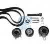 Set curea de distributie VW TRANSPORTER   CARAVELLE Mk IV bus  70XB  70XC  7DB  7DW  PRODUCATOR RUVILLE 5547772