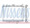 Radiator  racire motor NISSAN TERRANO Mk II  R20  PRODUCATOR NISSENS 62070A