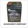 Acumulatori ACUMULATOR STATIONAR 6V 4Ah