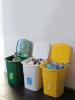 3 lazi de gunoi ecologice