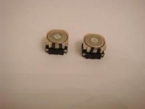 Buzzer/sonerie Sony ericsson w890