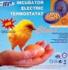 Incubator electric termostatat cleo
