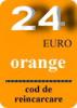 Voucher incarcare electronica orange 24