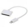 Accesorii telefoane - cablu de date iphone 5 to 4 adaptor lightning to