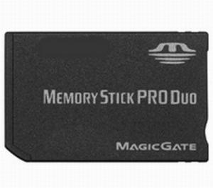 Memory Stick PRO DUO 2 Gb
