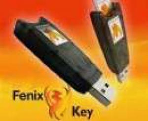Scule service gsm Fenix Key