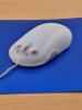 Mouse optic... cameleon