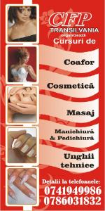 Curs de Cosmetica