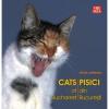 Pisici din Bucuresti