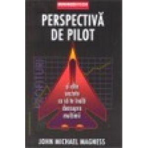 Perspectiva de pilot