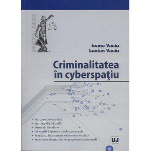 Criminalitatea in cyberspatiu