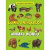 Lumea animalelor - animal world