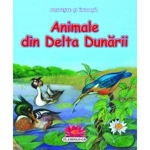 Priveste si invata Animale din Delta Dunarii