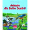 Priveste si invata animale din delta dunarii