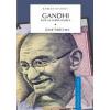 Gandhi. vol. ii. un soldat al pacii