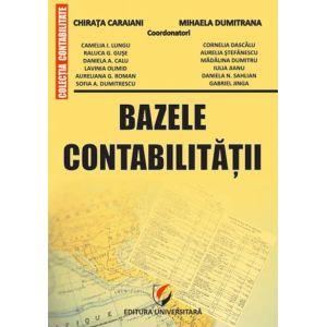 Bazele contabilitatii