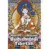 Povestiri extraordinare ale budismului tibetan